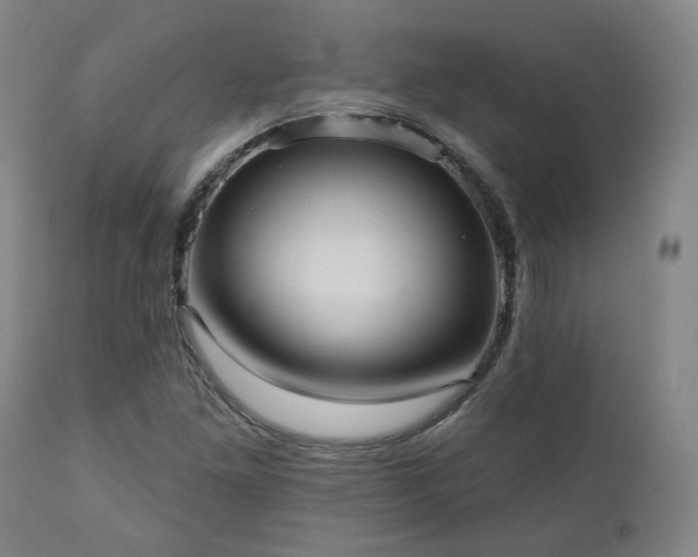 X0000110961261200906191303