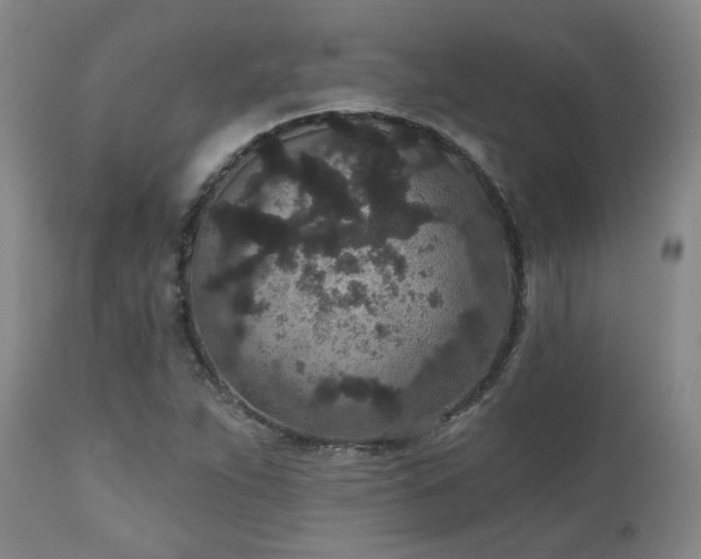 X0000110961263200906191303
