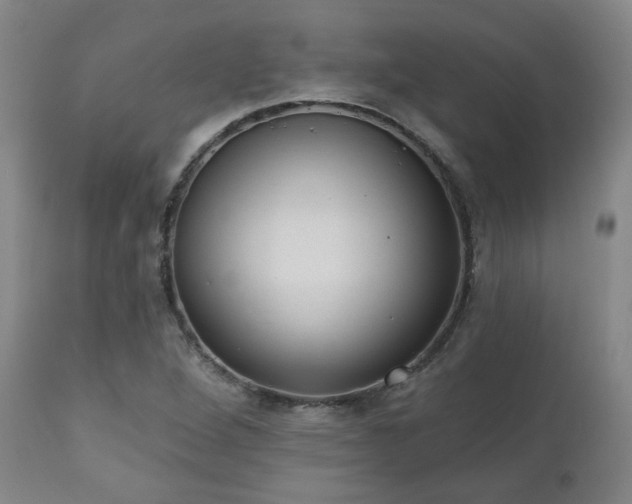 X0000110961264200906191303