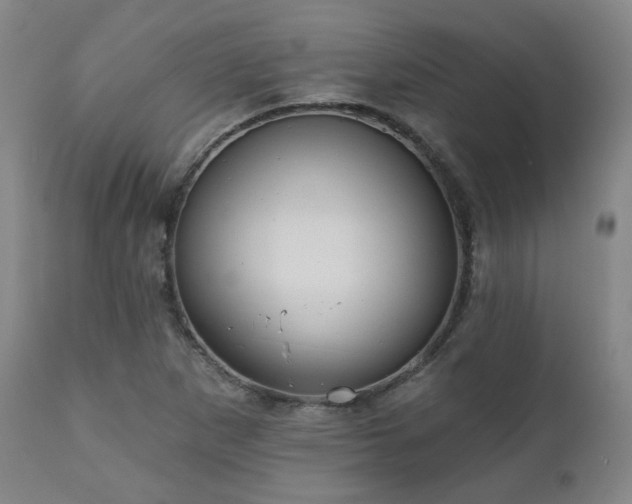 X0000110961265200906191303