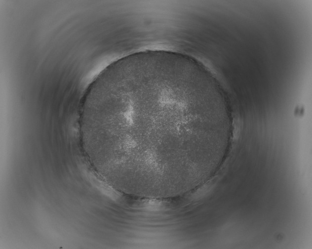 X0000110961266200906191303