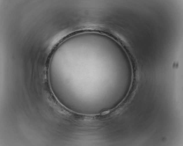 X0000110961267200906191303