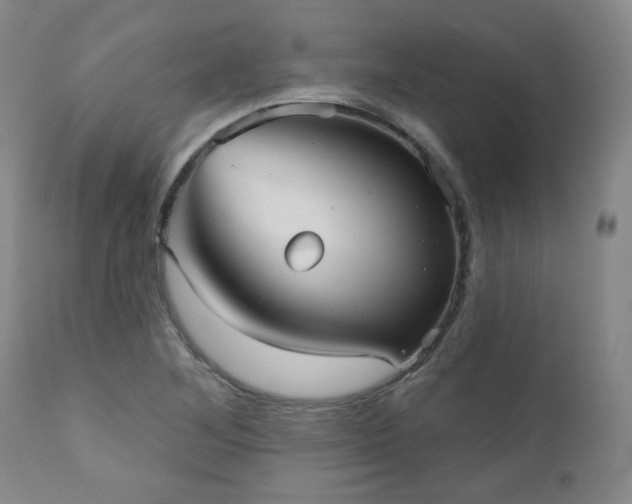 X0000110961268200906191303