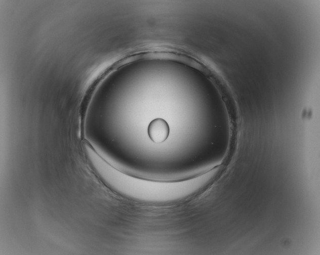X0000110961269200906191303