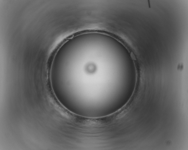 X0000110961270200906191303