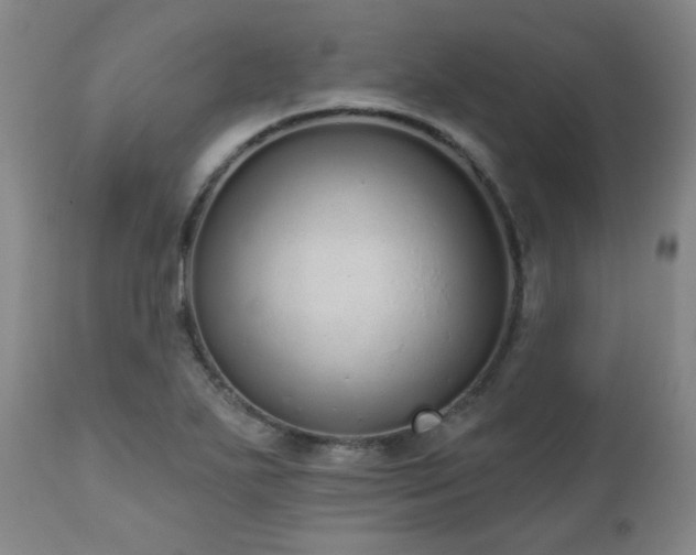 X0000110961271200906191303