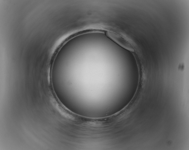 X0000110961272200906191303