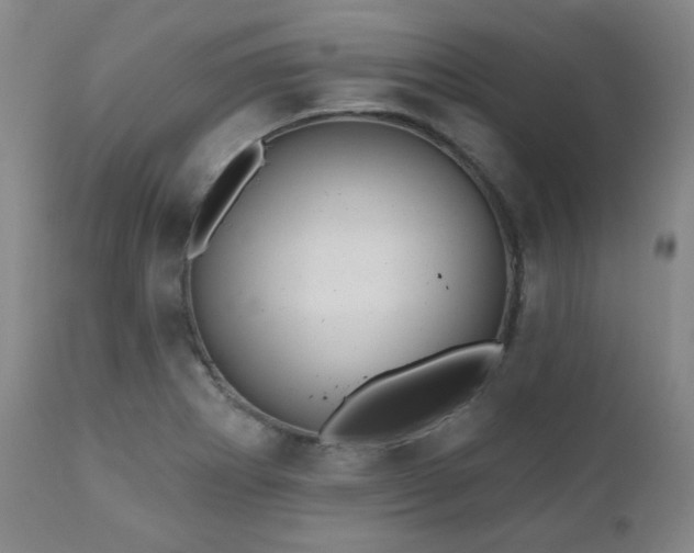 X0000110961273200906191303