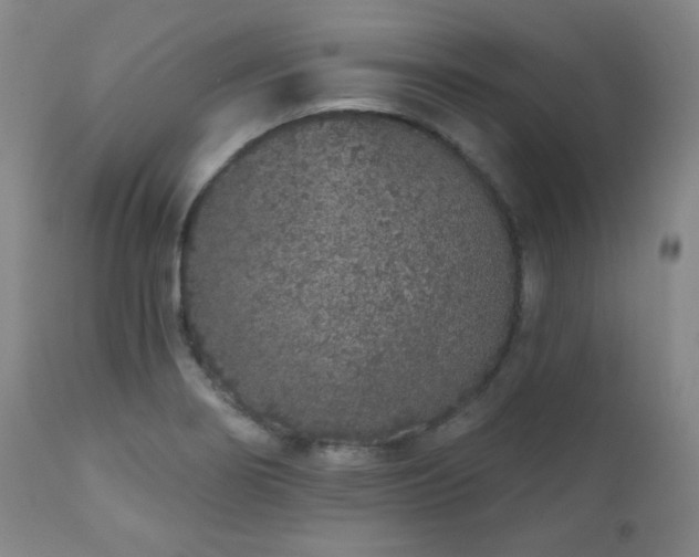 X0000110961274200906191303