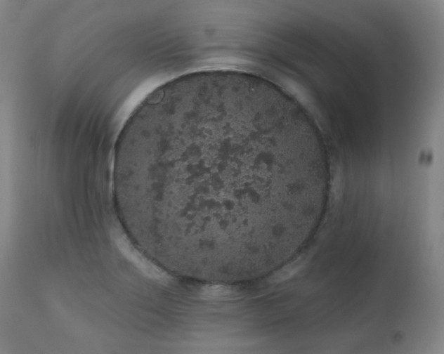 X0000110961275200906191303