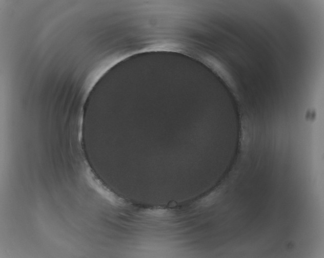 X0000110961276200906191303