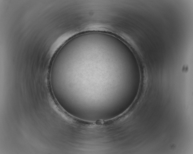 X0000110961277200906191303