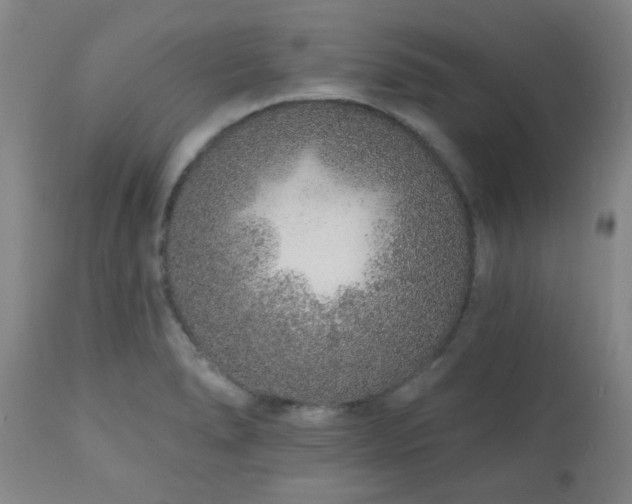 X0000110961278200906191303
