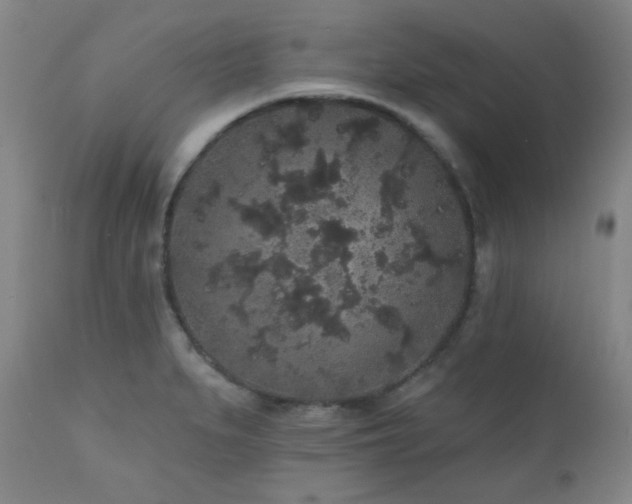 X0000110961279200906191303