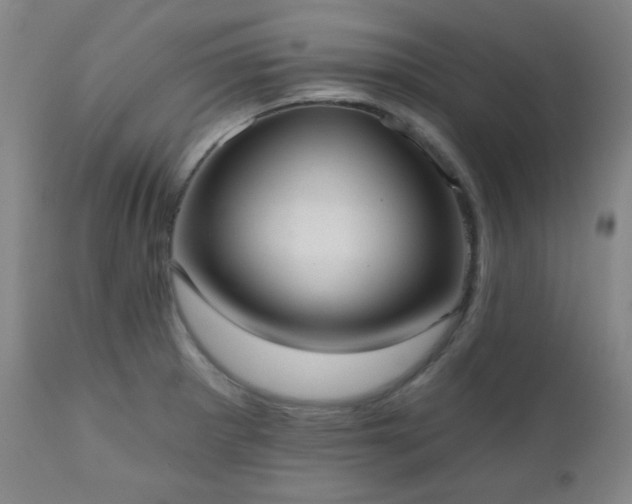 X0000110961281200906191303