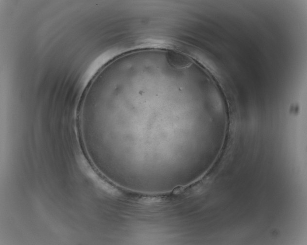 X0000110961283200906191303