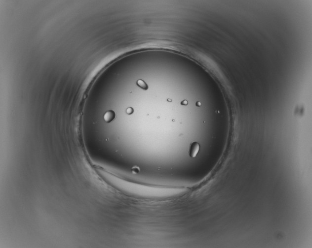 X0000110961284200906191303
