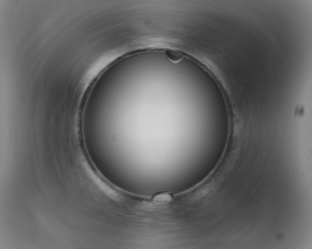 X0000110961285200906191303