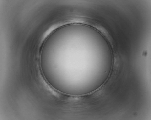 X0000110961286200906191303