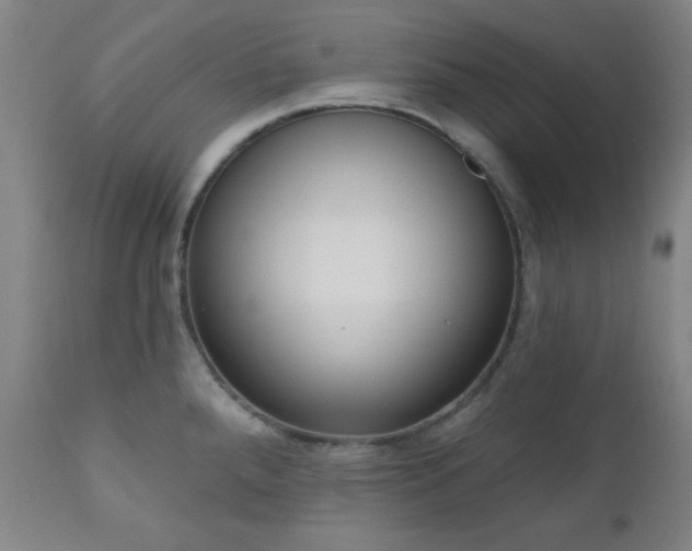 X0000110961288200906191303
