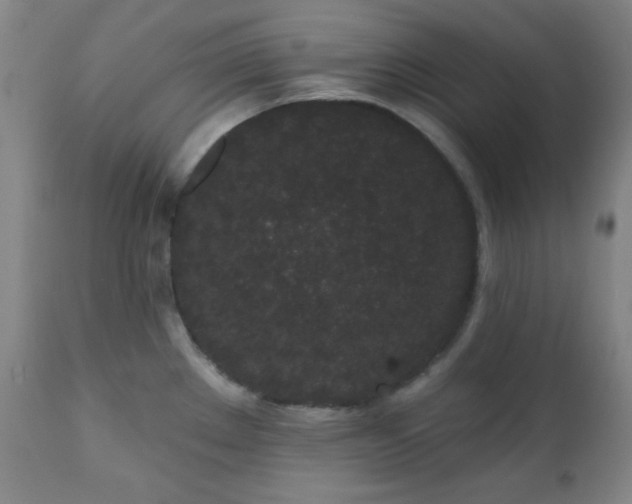 X0000110961289200906191303