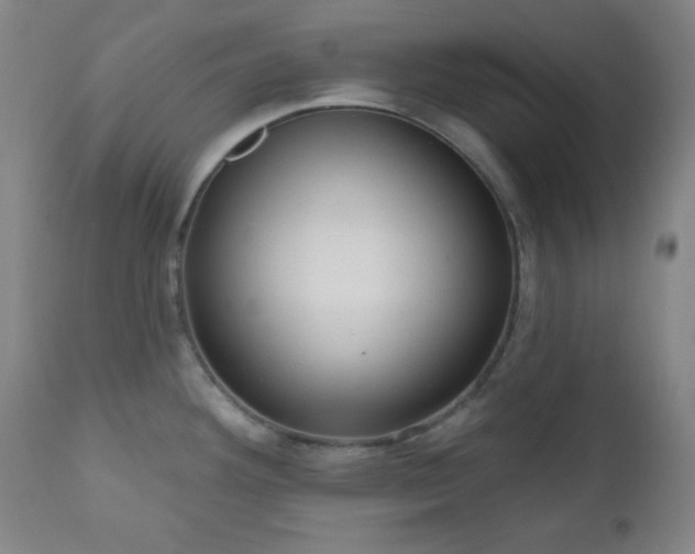 X0000110961292200906191303