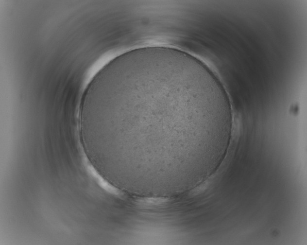 X0000110961294200906191303