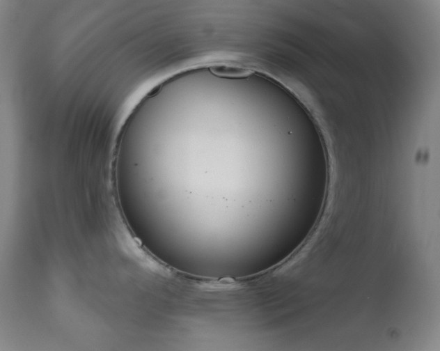 X0000110961296200906191303