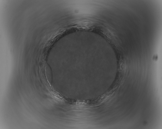 X0000110961297200906191302