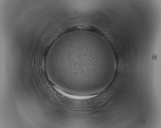 X0000110961298200906191302