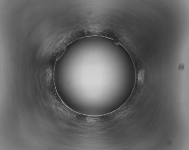 X0000110961299200906191302