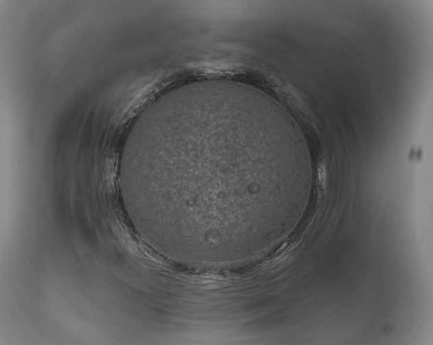 X0000110961300200906191302