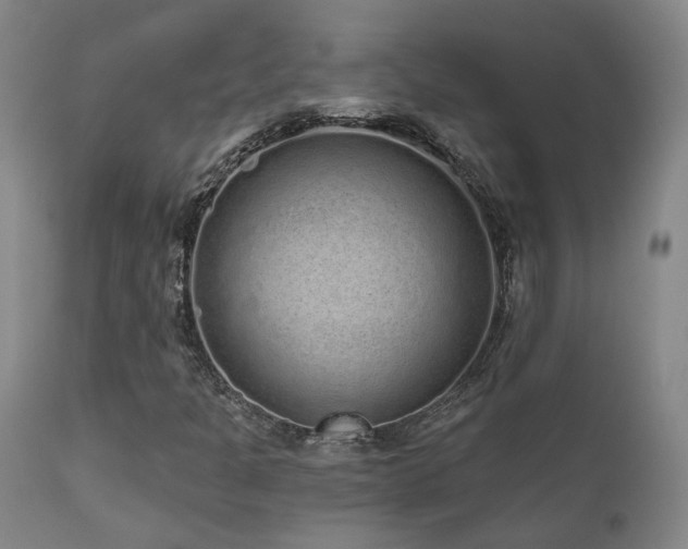 X0000110961301200906191302