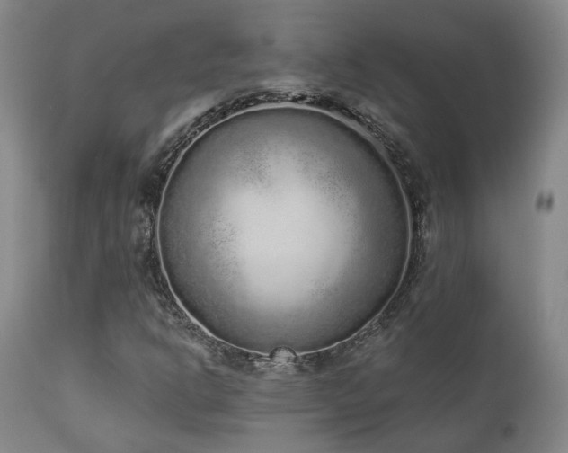 X0000110961302200906191302