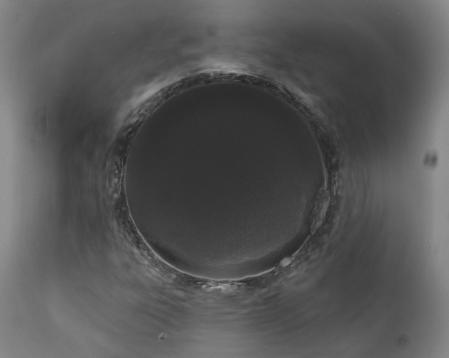 X0000110961303200906191302