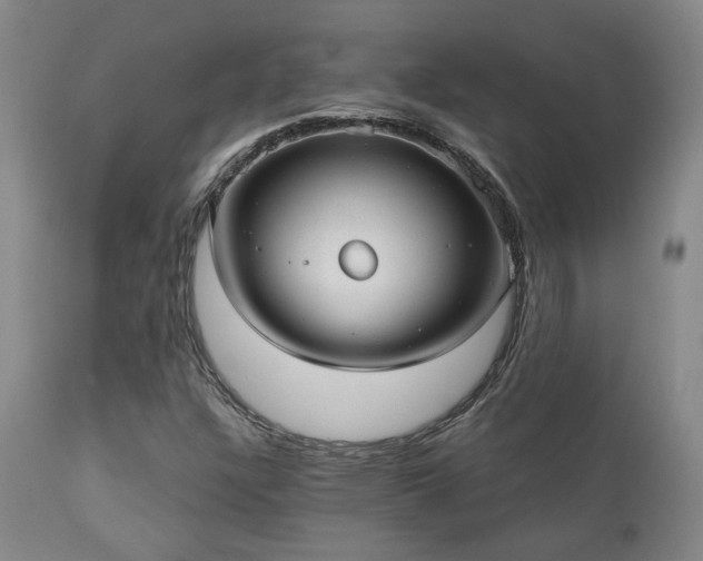 X0000110961304200906191302