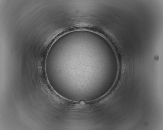 X0000110961305200906191302