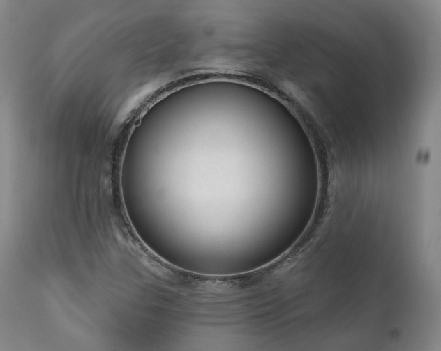 X0000110961307200906191302