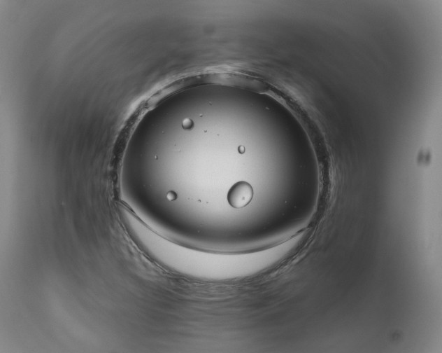 X0000110961308200906191302