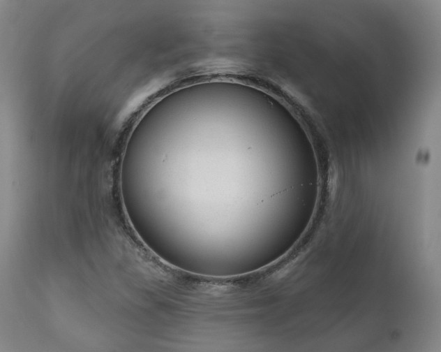 X0000110961309200906191302