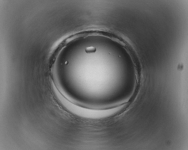 X0000110961310200906191302