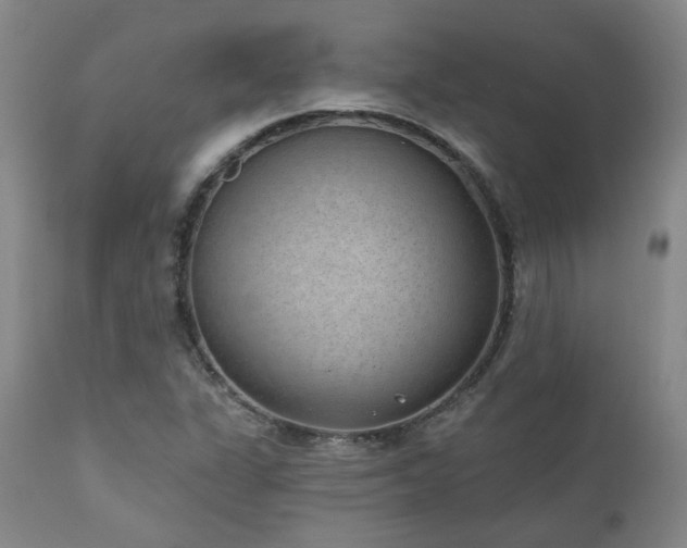 X0000110961311200906191302