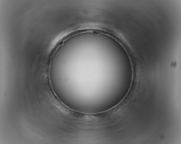 X0000110961312200906191302