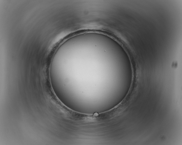 X0000110961315200906191302