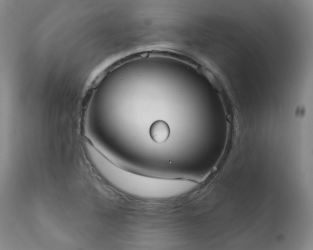 X0000110961316200906191302