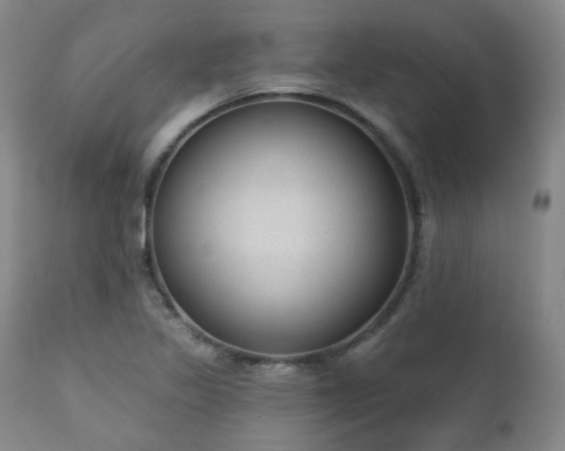 X0000110961317200906191302