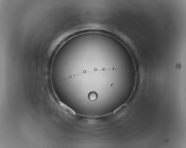 X0000110961318200906191302