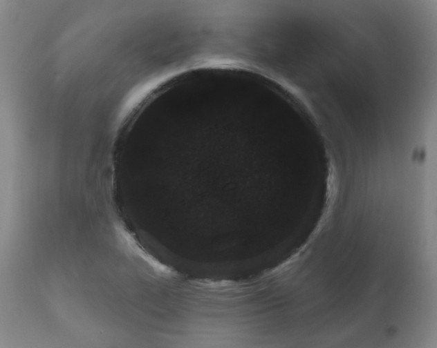 X0000110961319200906191302