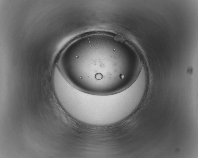 X0000110961320200906191302