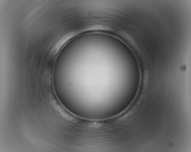 X0000110961321200906191302